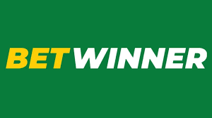 The Ultimate Guide to Betwinner Your Go-To Betting Platform