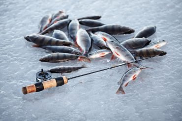 Experience the Thrill of Ice Fishing at Live UK Casinos Online in United Kigdom