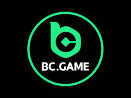 Exploring the Thriving Community of BC.Game BR Hub