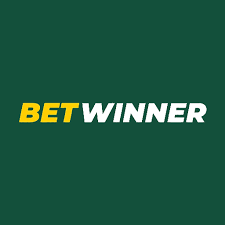 Discover the BetWinner Online Gambling Platform A Complete Guide