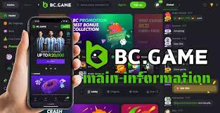 Exploring BC.Game Casino The Ultimate Gaming Experience in Nigeria