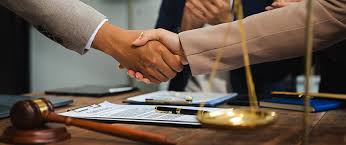 The Vital Role of Human Rights Lawyers in Society 1358825223