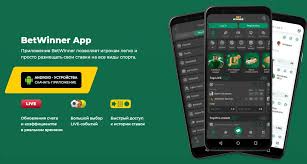 BetWinner Reviews An In-Depth Analysis
