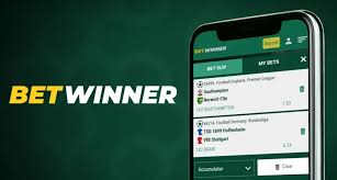 Discover the Excitement of BetWinner Gambling Platform