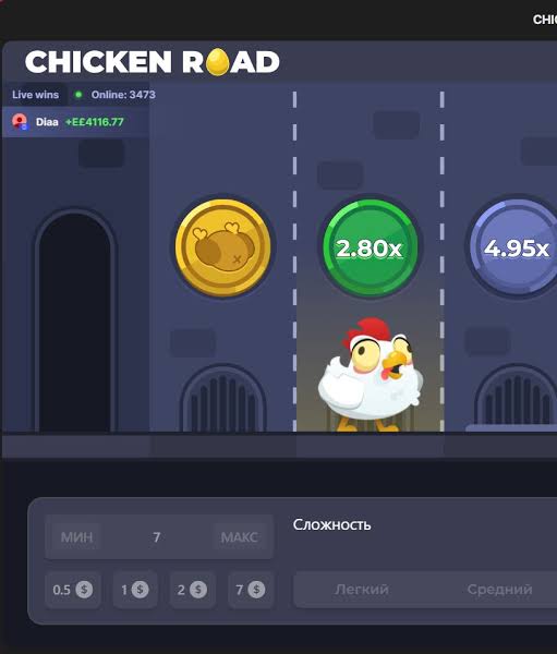 Scopri i Bonus di Chicken Road 2 Guida Completa -733219369
